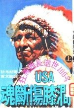 动断伤膝涧  下  美国西部印第安人史   1977  PDF电子版封面    狄布朗著；黄文范译 