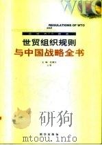世贸组织规则与中国战略全书 应对WTO挑战  下（1999 PDF版）