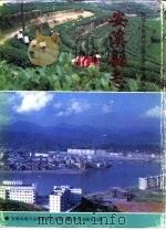 安溪县志  下（1994 PDF版）