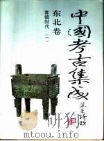 中国考古集成  东北卷  青铜时代  3     PDF电子版封面     