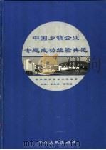 中国乡镇企业专题成功经验典范  下（1999 PDF版）