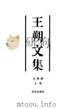 王朔文集  下（1996 PDF版）