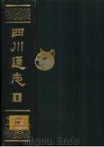 四川通志  第2册（1984 PDF版）