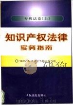 知识产权法律实务指南  专利法卷  下   1997  PDF电子版封面  7800565122  《知识产权法律实务指南》编写组编写 