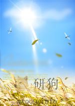 贵州省全民所有制工业企业民主管理工作规范     PDF电子版封面    杨峰 