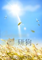 中国篆刻大字典     PDF电子版封面    颜迈 