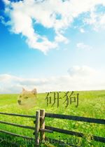贵州农村经济发展进程与态势     PDF电子版封面    张明新 