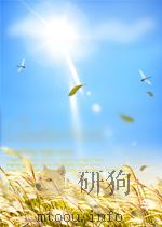 土家族医药     PDF电子版封面    朱国豪 