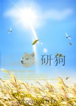 对和谐社会与全社会创造活力的哲学思考     PDF电子版封面    刘胜康 