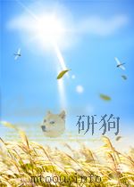 红楼复梦（一）     PDF电子版封面    陈少海 