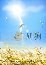 校园散文-青春物语     PDF电子版封面    小雨 