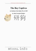 被俘的男孩（ PDF版）