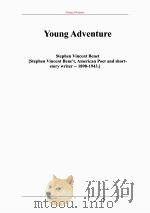 年轻的冒险     PDF电子版封面     