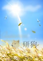 初中实验作业：七年级生物  上     PDF电子版封面    王萌范 