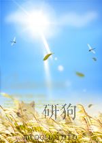 毛泽东与中共党史重大事件     PDF电子版封面    刘武生主编 