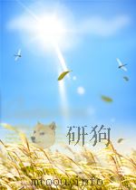 中国的人权状况（ PDF版）