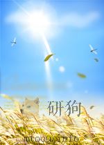 共和国九大元帅  刘伯承  中     PDF电子版封面     