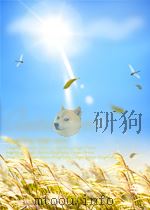 王树声传     PDF电子版封面    邓力群，马洪，武衡 
