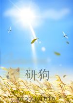 简体字体二十六史：新唐书  79     PDF电子版封面     