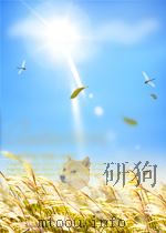 中国传统文化荟要  2     PDF电子版封面     