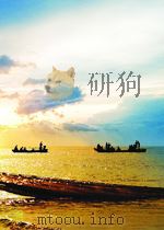 氧化铅锌矿的浮选   1996年3月第1版  PDF电子版封面    石道民 杨敖 编著 