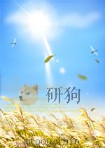 哀牢山森林生态系统研究   1998  PDF电子版封面  7541611514  邱学忠主编；中国科学院昆明生态研究所编著 