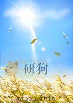 爱我中华 爱我昆明   1994年12月第1版  PDF电子版封面    杨远翔 