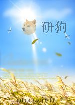 生猪无公害标准化养殖技术     PDF电子版封面     