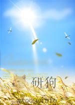 精通中文版Photoshop 5.0   1999年6月第1版  PDF电子版封面    东岳创作室 