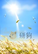 生命礼赞     PDF电子版封面    杨桂华 