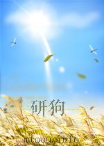 四乐斋拾零     PDF电子版封面    杨正泉 