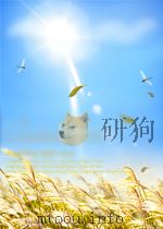 外语教育  2005     PDF电子版封面    秦晓晴 