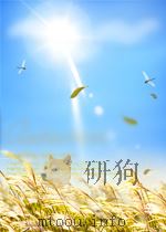 土壤元素的本质和性能（ PDF版）