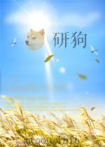 语言文学论文集   1995年8月第1版  PDF电子版封面    黄树红等主编 