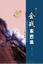 会战东巴凤（ PDF版）