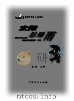 太阳珍珠雨     PDF电子版封面    袁刚主编 