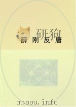 薛刚反唐     PDF电子版封面     
