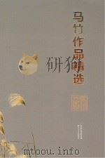 马竹作品精选     PDF电子版封面  9787535461476  马竹著 