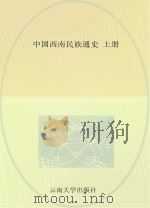 中国西南民族通史  上     PDF电子版封面    王文光等著 