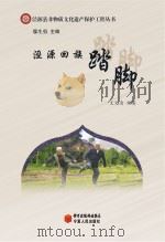 泾源县非物质文化遗产保护工程丛书  泾源回族踏脚（ PDF版）