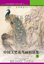 中国工笔花鸟画精品集  上     PDF电子版封面     