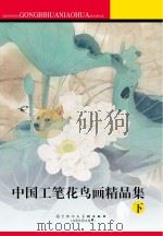 中国工笔花鸟画精品集  下（ PDF版）