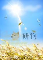 DISCOVER SERIES CHINA     PDF电子版封面     