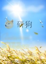 The Drama of the Forests Romance and Adventure     PDF电子版封面     