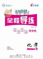 名校秘题·全程导练  化学  九年级  上  （LJ）     PDF电子版封面  9787561494738  何政主编 