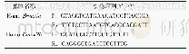 《表1 基因引物序列：Camk 2b低表达对1,4-苯醌致K 562细胞线粒体毒性的影响》