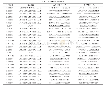 《表2 所选引物及其物理位置》