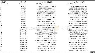 表2 40对引物名称及序列