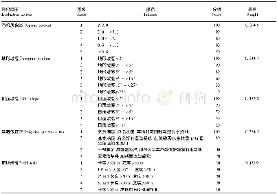 表1 广东省新增水田适宜性评价指标