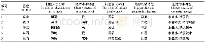 表1 安徽省村庄典型区域特征
